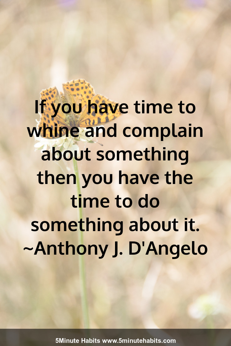 If you have time to whine and complain about something then you have the time to do something about it. ~Anthony J. D'Angelo